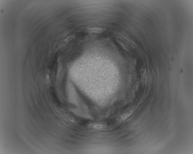 X0000073530655200608211831