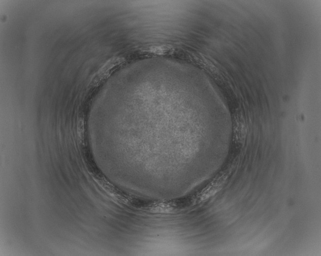 X0000073530656200608211831