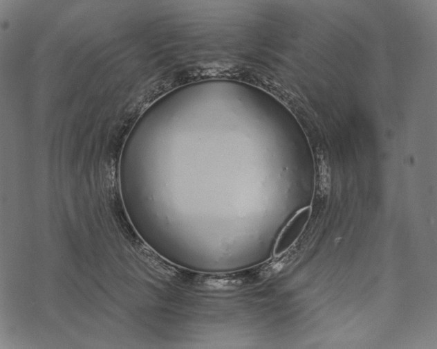 X0000073530657200608211831