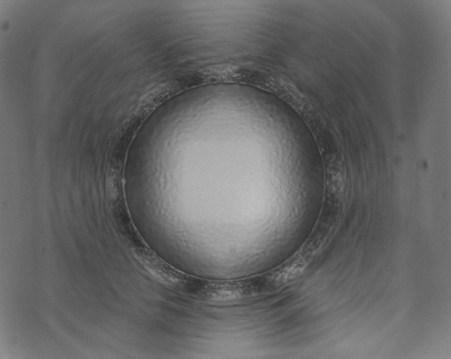 X0000073530658200608211831