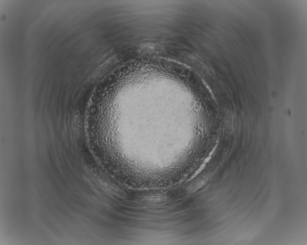 X0000073530659200608211831