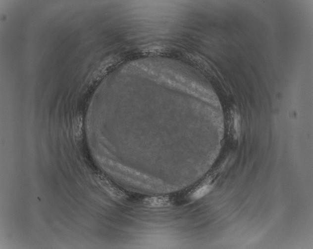 X0000073530660200608211831