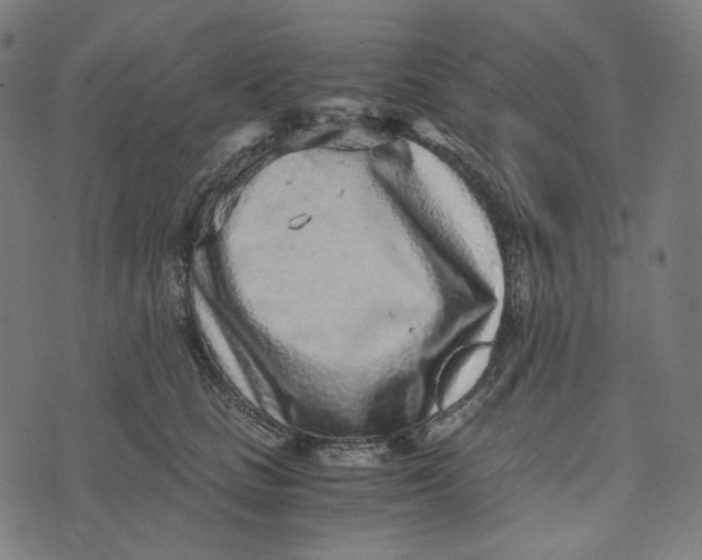 X0000073530661200608211831