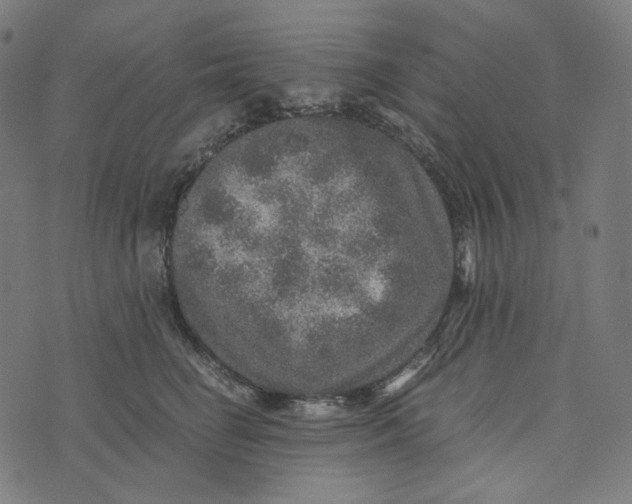 X0000073530662200608211831