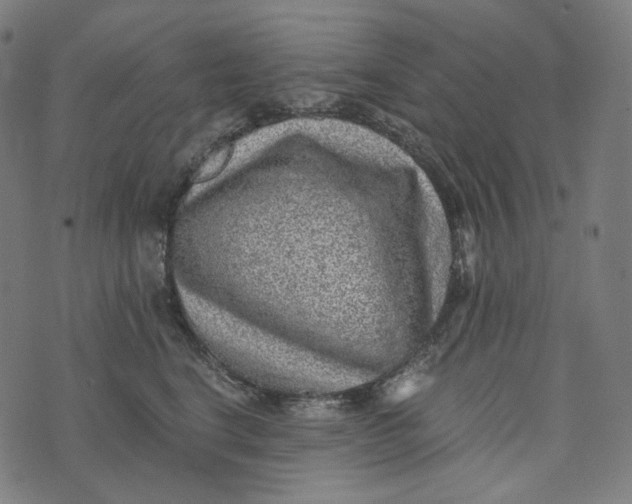 X0000073530664200608211831