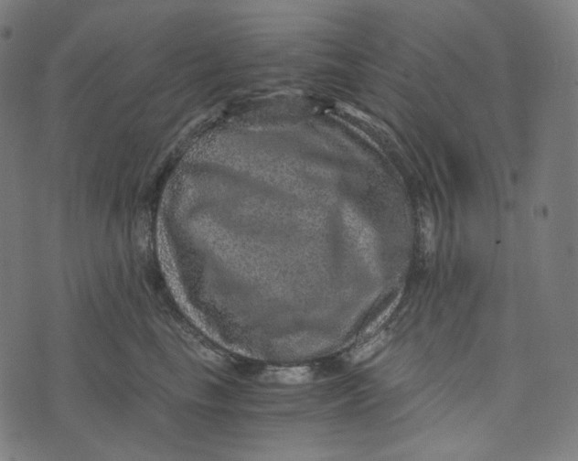 X0000073530665200608211831