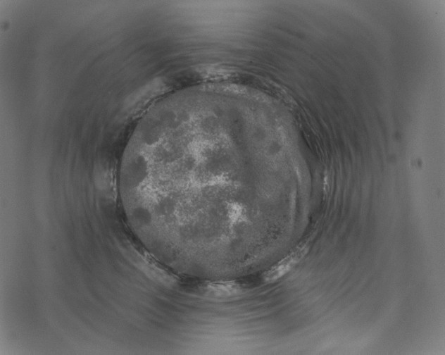 X0000073530666200608211831