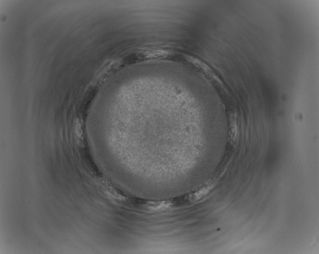 X0000073530667200608211831