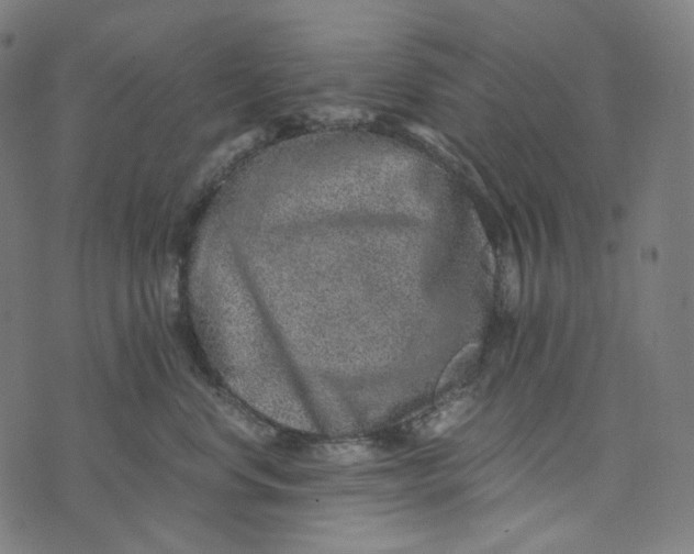 X0000073530668200608211831