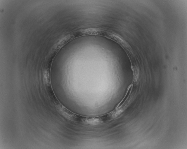 X0000073530669200608211831