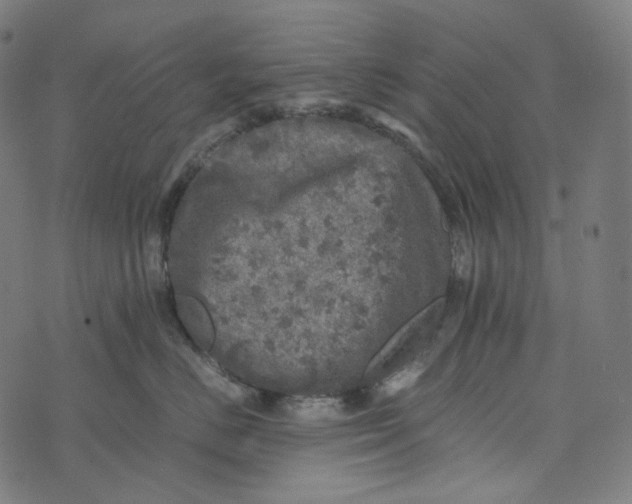 X0000073530670200608211831