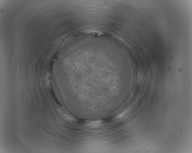 X0000073530671200608211831