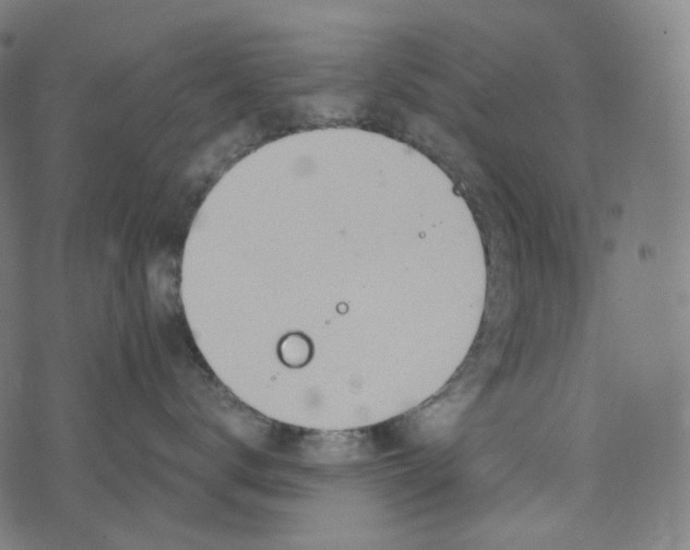 X0000073530672200608211831