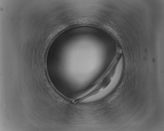 X0000073530673200608211830