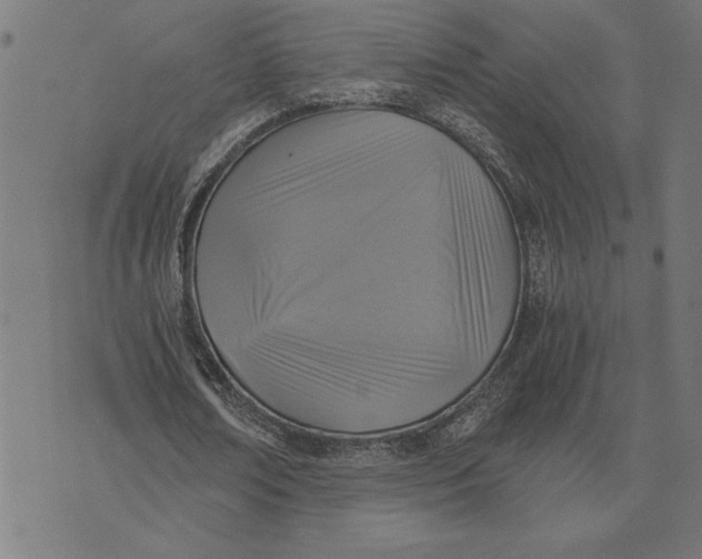 X0000073530674200608211830