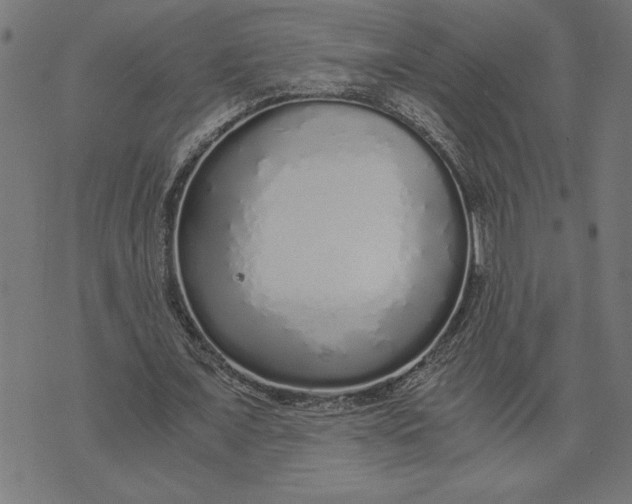 X0000073530675200608211830