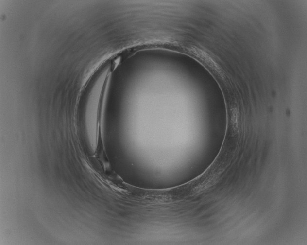 X0000073530676200608211830