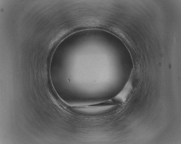 X0000073530677200608211830