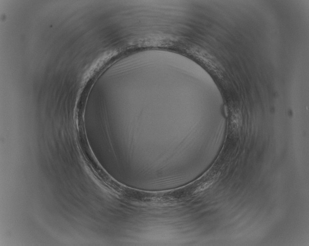 X0000073530678200608211830