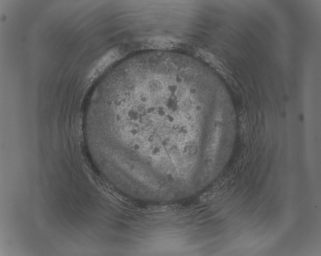 X0000073530679200608211830