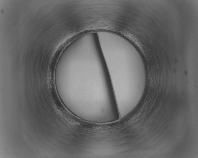 X0000073530680200608211830