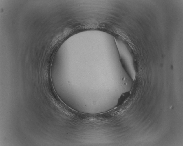 X0000073530681200608211830