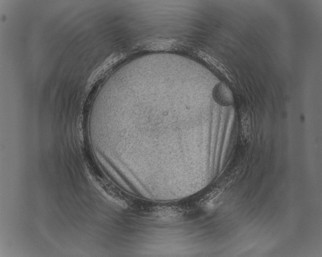 X0000073530682200608211830