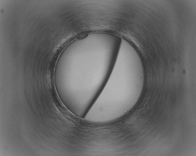 X0000073530684200608211830