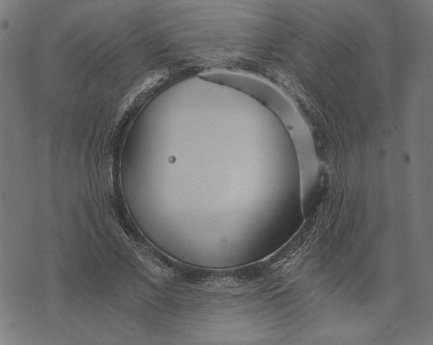 X0000073530685200608211830