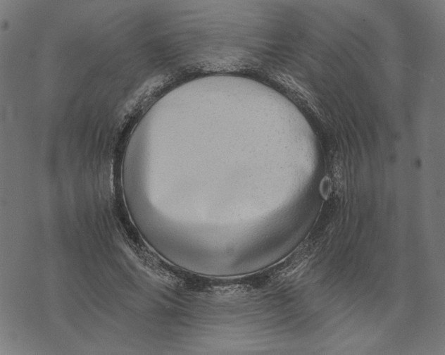 X0000073530686200608211830