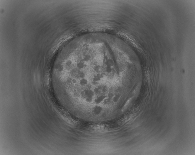 X0000073530687200608211830