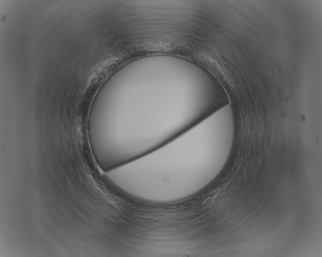 X0000073530688200608211830