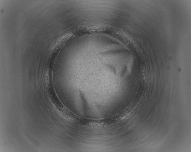 X0000073530690200608211830