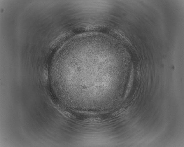 X0000073530691200608211830