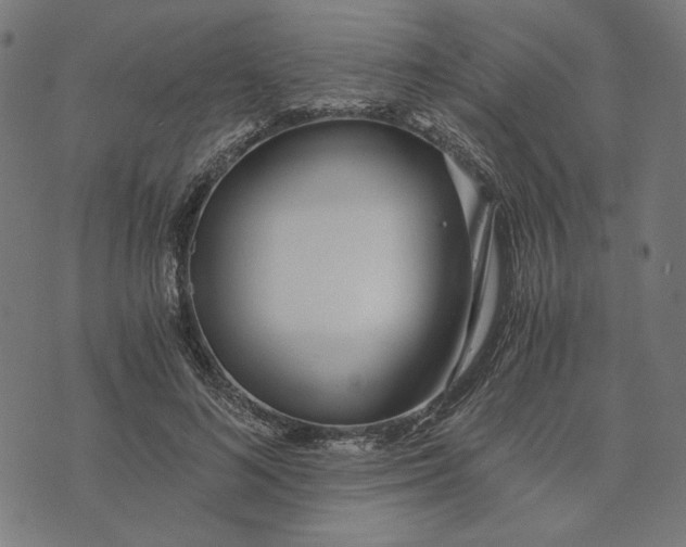 X0000073530692200608211830