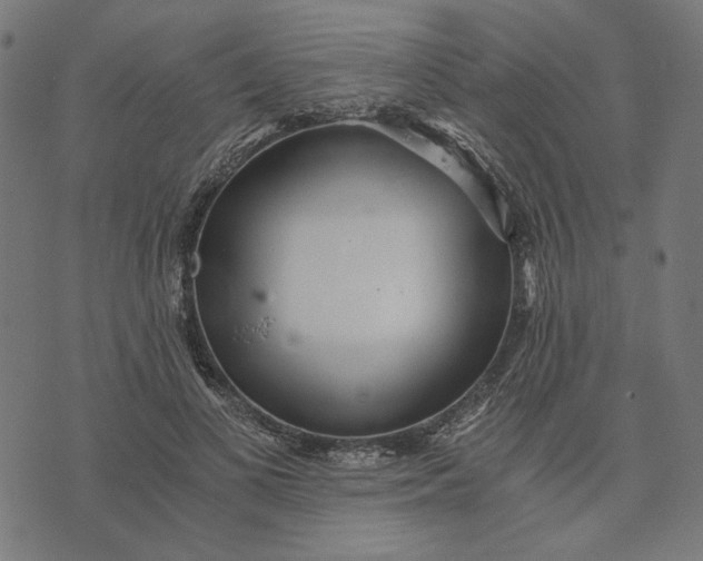 X0000073530693200608211830