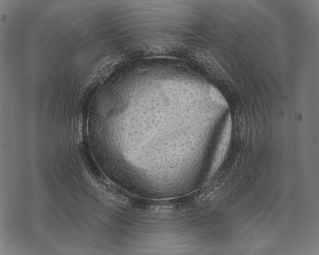 X0000073530694200608211830