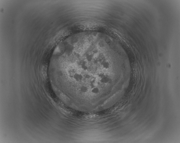 X0000073530695200608211830