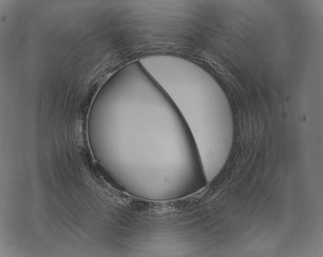 X0000073530696200608211830