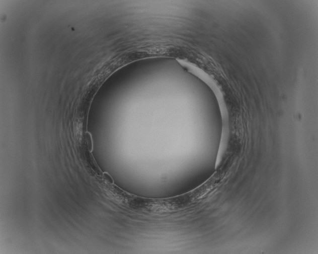 X0000073530697200608211830