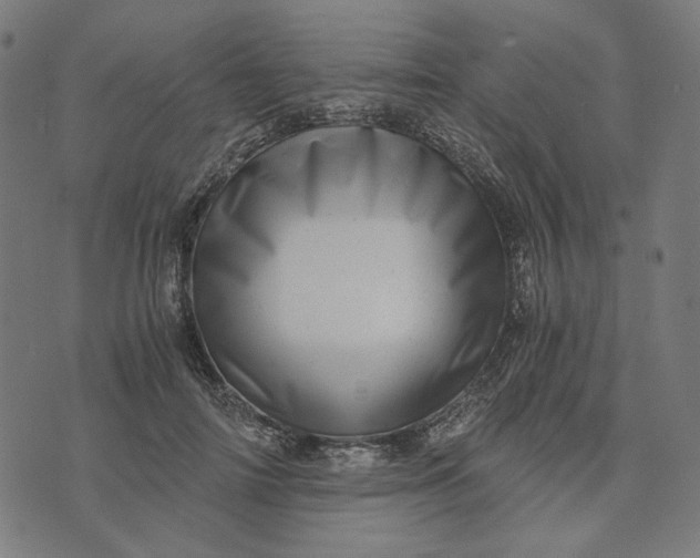 X0000073530698200608211830