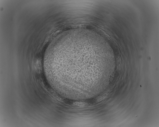 X0000073530699200608211830