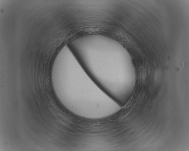 X0000073530700200608211830