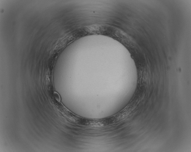 X0000073530702200608211830