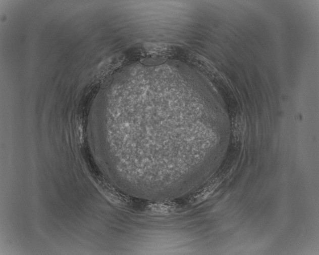 X0000073530703200608211830