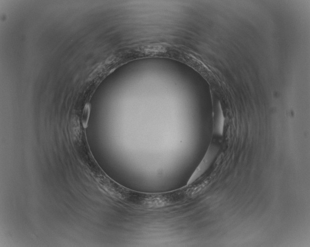 X0000073530704200608211830