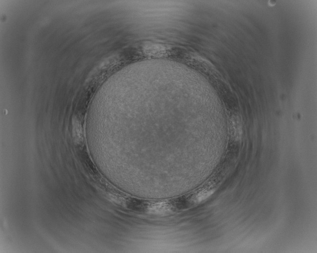 X0000073530705200608211830