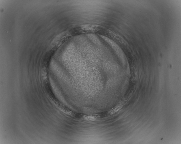 X0000073530706200608211830