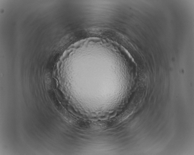 X0000073530707200608211830