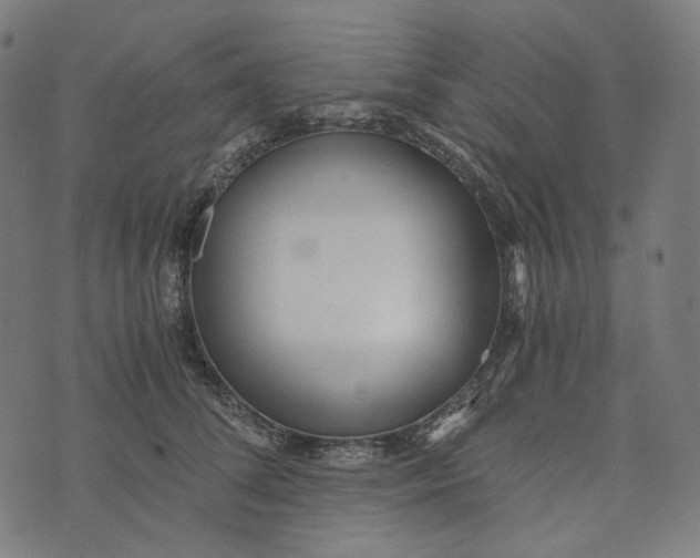 X0000073530708200608211830